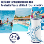 SUIXINEYI PRB25-In Spa Filter Compatible with Unicel c-4326 25Sq.ft Guardian 413-106 Filbur FC-2375 Pentair