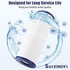 SUIXINEYI PRB25-In Spa Filter Compatible with Unicel c-4326 25Sq.ft Guardian 413-106 Filbur FC-2375 Pentair