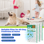 SUIXINEYI 16x25x1 MERV 11 Ventilation Air Filter, HVAC and AC Furnace Replacement Filter For Whole House Residential Air Systems